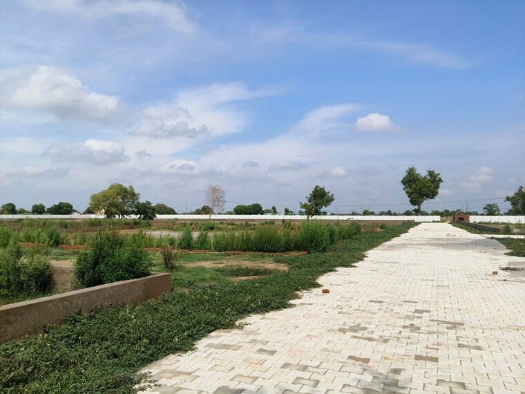 undefined, agra gpo  250 Sq.Yd. Plot In Agra Gpo Agra 10593529