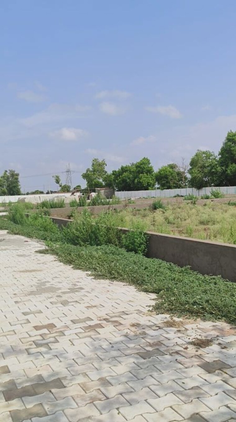 undefined, agra gpo  250 Sq.Yd. Plot In Agra Gpo Agra 10593529