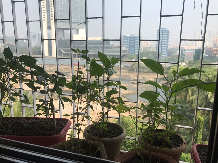 Balcony, lok-gaurav-society 1 Bedroom 500 Sq.Ft. Apartment In Vikhroli West Mumbai 10602776