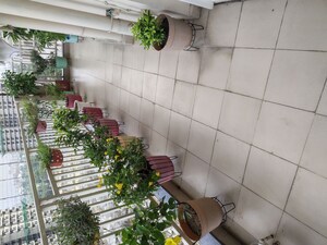 Balcony in 3 BHK Apartment at M3M Marina, Sector 68 – for Rent