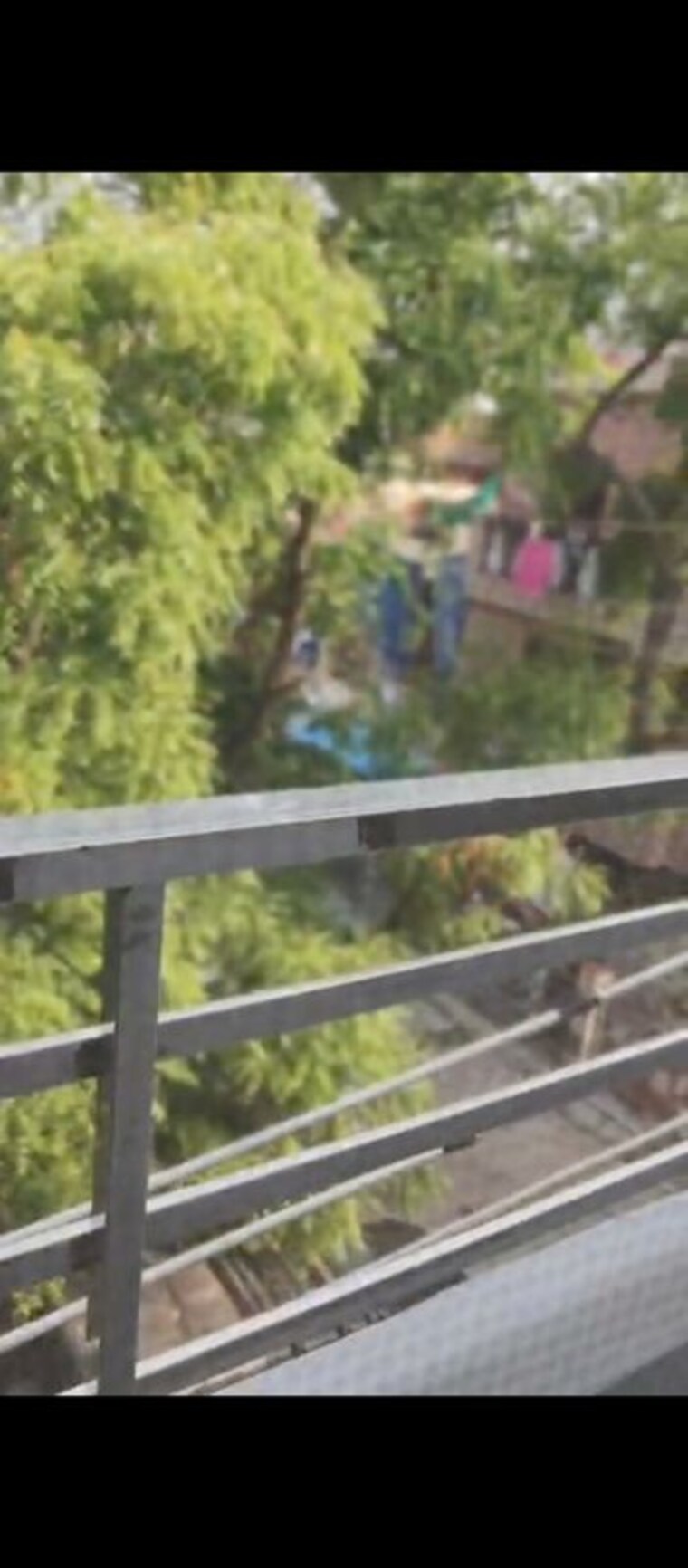 Balcony, rwa-apartments-sector-12 1 Bedroom 725 Sq.Ft. Independent House In Sector 12 Noida 10602895