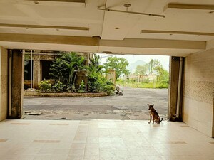 Parking in  Apartment at Dawale – for Sale