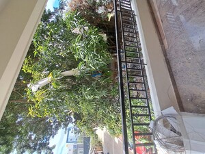 Balcony in 2 BHK Apartment at Horamavu Agara – for Sale