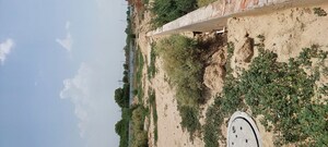  Plot For Sale in Pachgain Khera