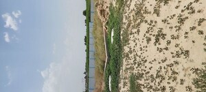 Plot Area in  Plot at Pachgain Khera – for Sale