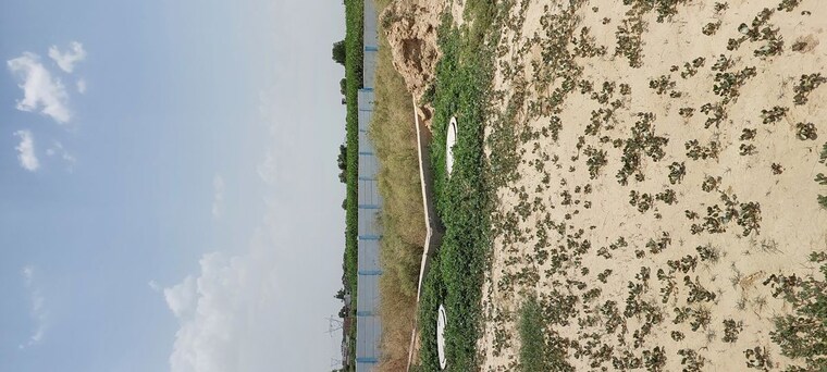 undefined, pachgain khera  117 Sq.Yd. Plot In Pachgain Khera Agra 10603215