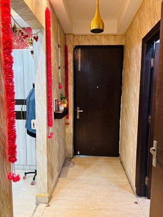 2 BHK + Store Room Apartment For Rent in RWA Apartments Sector 37 in Sector 37, Noida