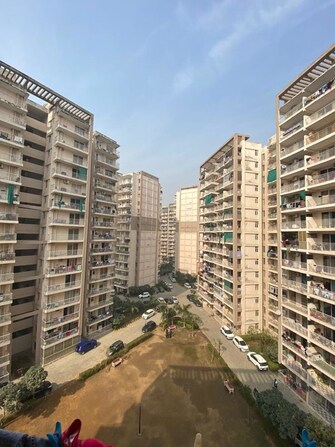 1 BHK Apartment For Rent in Shree Vardhman Green Court in Sector 90, Gurgaon