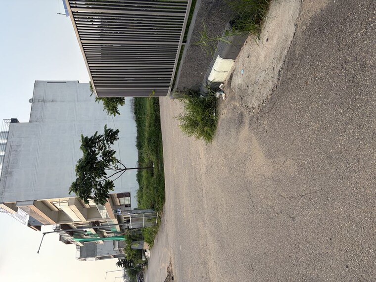 Balcony, aerocity 3 Bedroom 233 Sq.Yd. Builder Floor In Aerocity Mohali 10603598