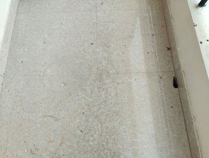 Bathroom in 3 BHK Builder Floor at Sector 45 – for Rent
