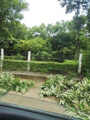 Plot Area in  Plot at Sector 37 Greater Noida – for Sale