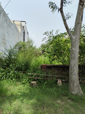  Plot For Sale in Sector 37 Greater Noida