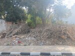 1100 Sq.Ft. Plot in Sadashiva Nagar