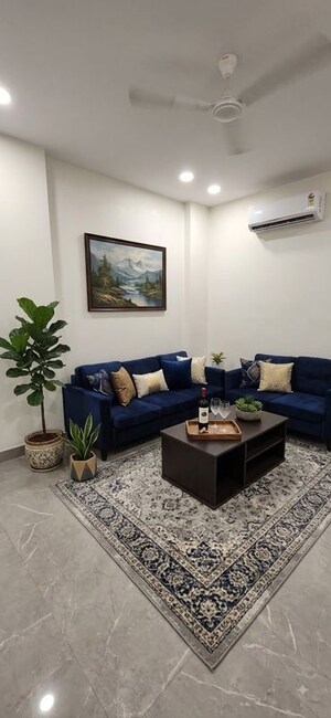 Living Room in 3 BHK Builder Floor at MRS Hi Greens, Kishanpura – for Rent
