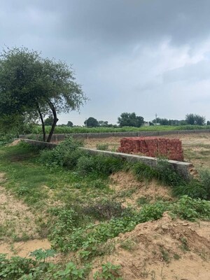 Plot Area in  Plot at Jewar – for Sale