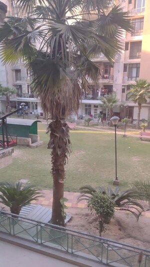 4 BHK Apartment – Garden View at Aditya Palm Court, Vip Road - for Rent
