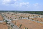 73 Sq.Yd. Plot in Palm Green