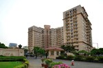 3 BHK 1400 Sq.Ft. Apartment in DLF Oakwood Estate