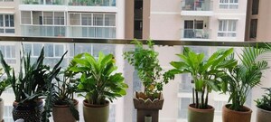 Balcony in 3 BHK Apartment at Marina Skies, Hi Tech City – for Rent