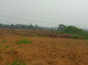 Plot Area in  Plot at Pohi – for Sale