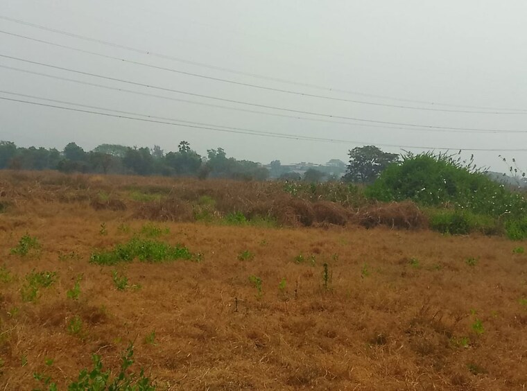 undefined, pohi  1089 Sq.Ft. Plot In Pohi Raigad 10604563