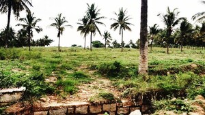 Plot Area in  Land at Bidadi – for Sale
