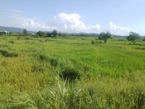 Plot Area in  Plot at Koproli – for Sale