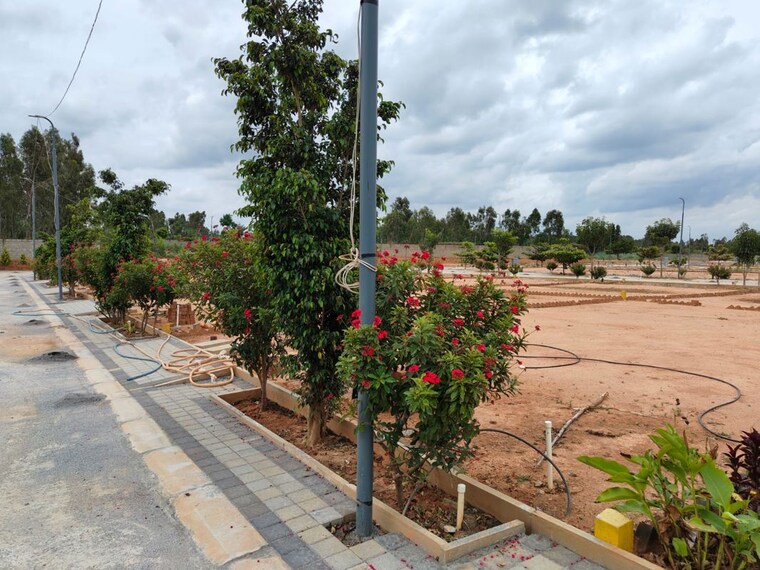 Garden, doddaballapur road  2000 Sq.Ft. Plot In Doddaballapur Road Bangalore 10582659