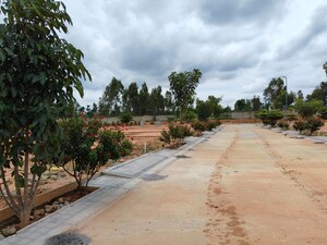 Plot Area in  Plot at Doddaballapur Road – for Sale