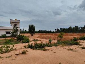 Plot Area in  Plot at Doddaballapur Road – for Sale