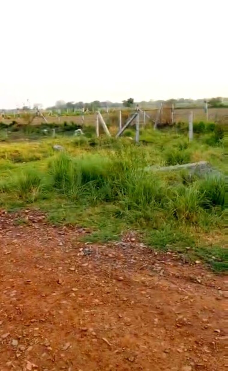 undefined, sohna  60000 Sq.Ft. Plot In Sohna Gurgaon 10450079