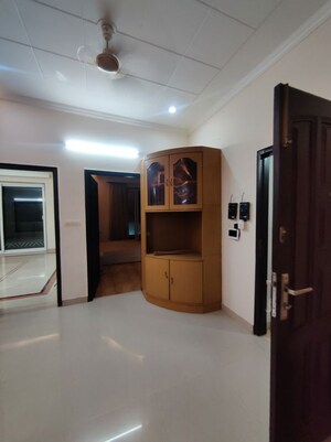 3.5 BHK Independent House For Rent in Sector 46