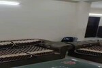 3 BHK 250 Sq.Yd. Builder Floor in Sector 14