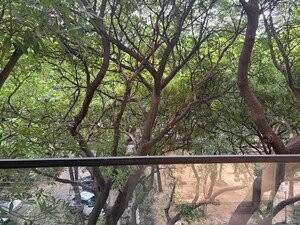 4 BHK Apartment – Garden View at Hauz Khas - for Rent