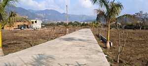 Plot Area in  Plot at Guniyal Gaon – for Sale