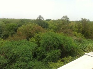 4 BHK Builder Floor – Garden View at Panchsheel Park - for Rent