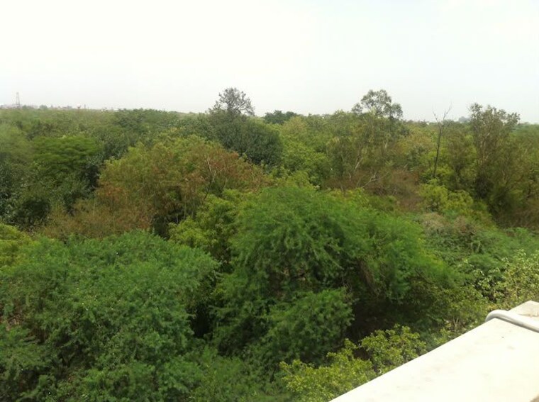 Garden, panchsheel park 4 Bedroom 550 Sq.Yd. Builder Floor In Panchsheel Park Delhi 10605420