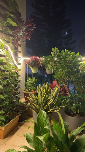 Studio Apartment – Garden View at Fairfox EON, Sector 140a - for Sale