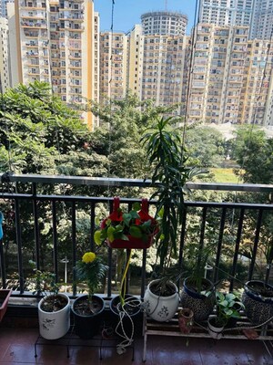 3 BHK Apartment – Exterior View View at Amrapali Sapphire, Sector 45 - for Sale