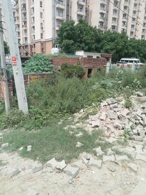 Plot Area in  Plot at Model Town – for Sale