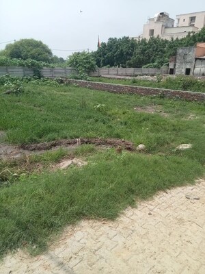 Plot Area in  Plot at Model Town – for Sale