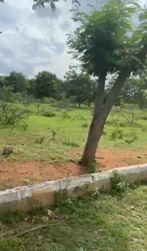 Plot Area in  Plot at Tambaram West – for Sale