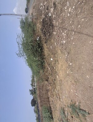  Land For Rent in Dumas