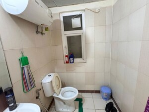 Bathroom in 2 BHK Apartment at Mahindra Aura, Sector 110a – for Rent