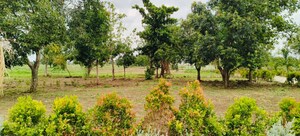 Plot Area in  Plot at Shankarpalli – for Sale