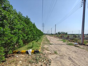  Plot – Exterior View View at Arcadia Park East, Central Kharar - for Sale