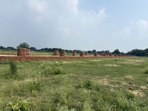 Plot Area in  Plot at Harhua – for Sale