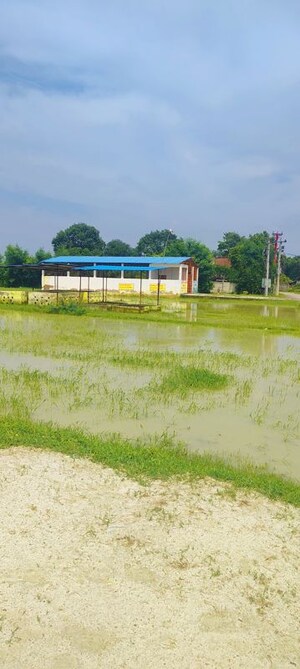  Plot – Exterior View View at Miranpur Pinvat - for Sale