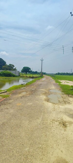 Plot Area in  Plot at Miranpur Pinvat – for Sale