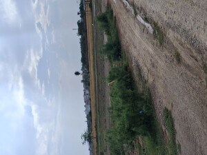 Plot Area in  Plot at Sohna – for Sale